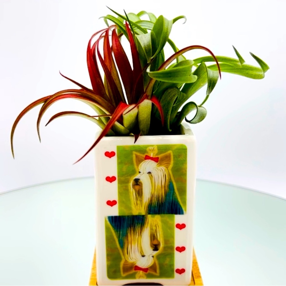 YORKSHIRE TERRIER Dog Art 
Hand Crafted Home Decor Planter Office Organizer Gift